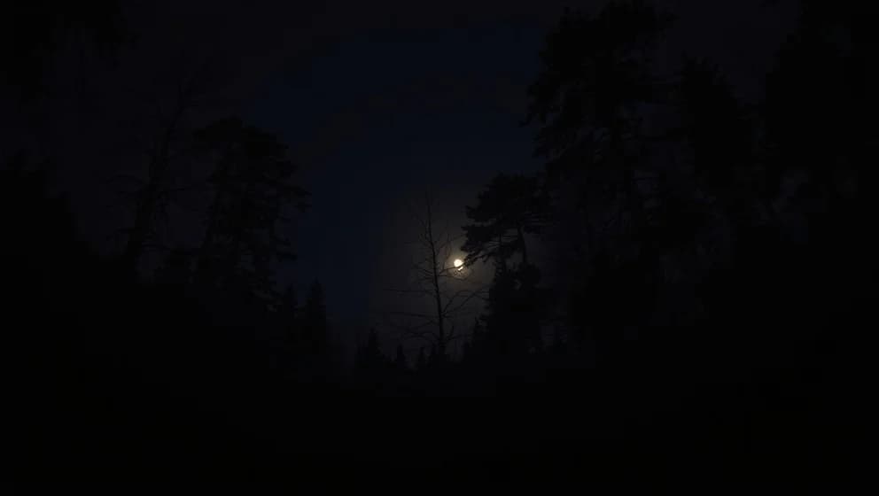 Text till Rasmus Seebach Natteravn